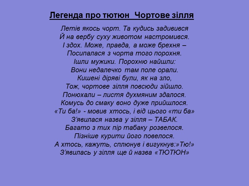 Легенда про тютюн  Чортове зілля  Летів якось чорт. Та кудись задивився Й